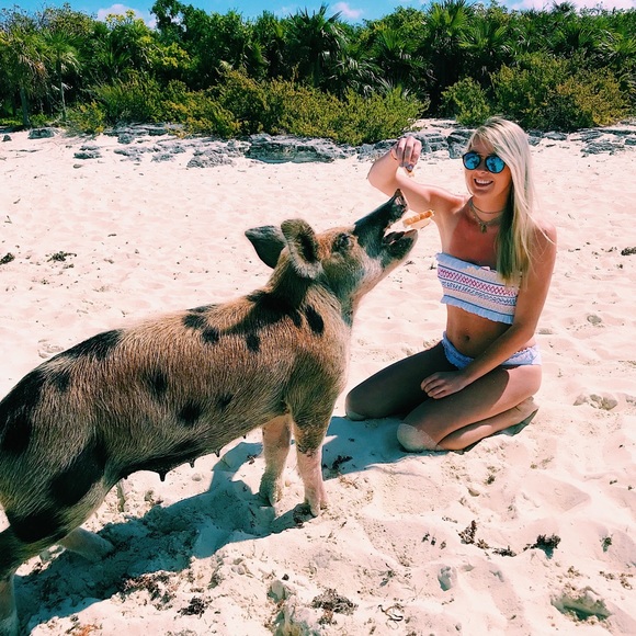 Hey everyone!! - Picture 2 of 4